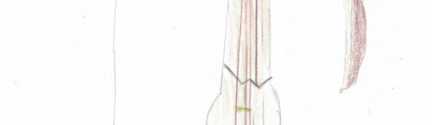 Jumelages et interventions scolaires:
Groupe scolaire Coulonces-Campagnolles dessins instruments classe CM2:
ccf17122019_0016